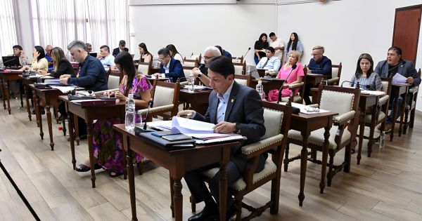 Buscan aplicar exenciones impositivas para empresas que contraten personas con discapacidad