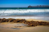 At Least 4 Dead, 5 Others Injured After Boat Capsized Off the Coast of San Diego