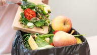 Trash Compactor Or Garbage Disposal: Which Is The Best Option For Your Kitchen