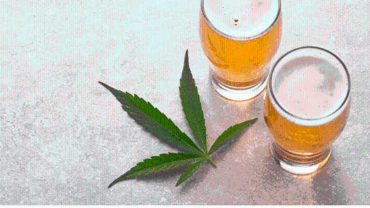 Getting High Makes You Drink Less? Science Says Yes