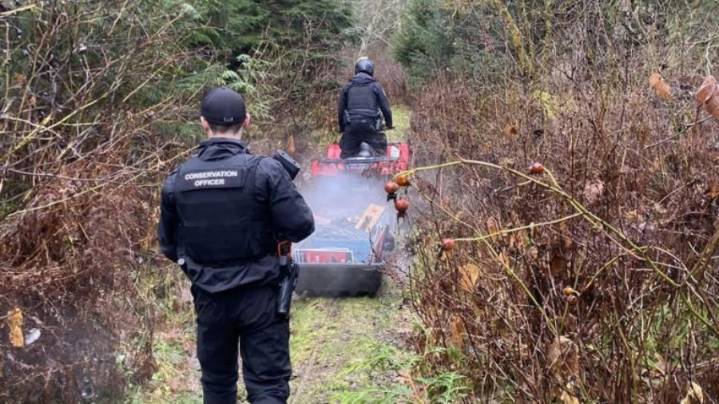 Search underway for grizzly bear and cubs after scary attack in Bella Coola