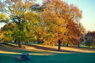 Baltimore weather: Strong winds, potential thunderstorms predicted for Wednesday night