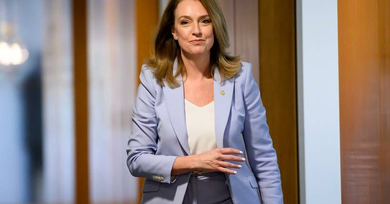 'Incredible honour': state MP becomes Liberal leader