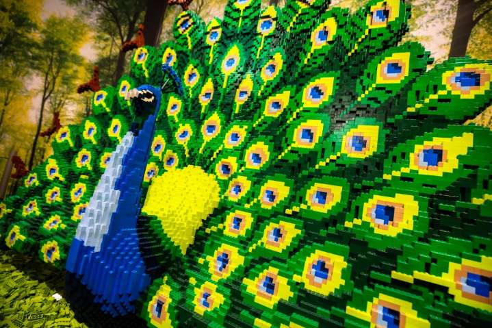 Things to do in Denver: Legos at DMNS, craft brewing fundraiser