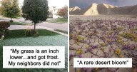 50 ‘Mildly Interesting’ Things Spotted In Nature That Are Actually Surprising