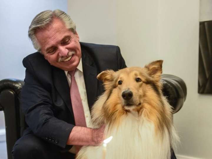 Cuando la política a veces se vuelve "una vida de perros"