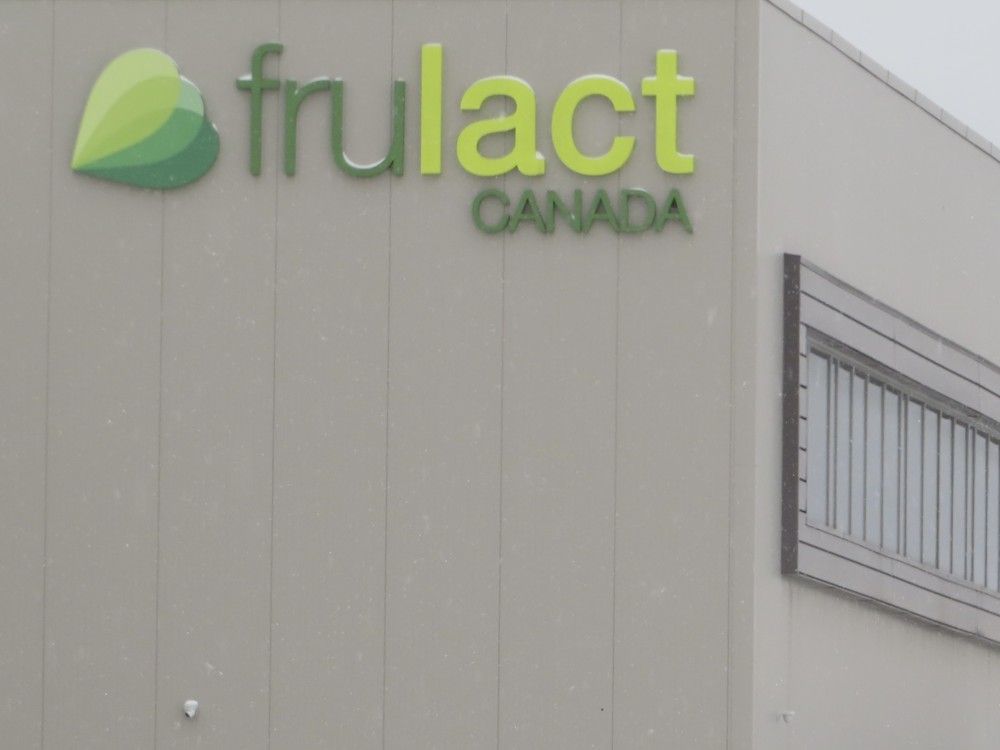 Kingston's Frulact facility part of sale to Italy