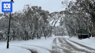 Rescue underway at Mount Buller for man caught in unexpected November snow dump