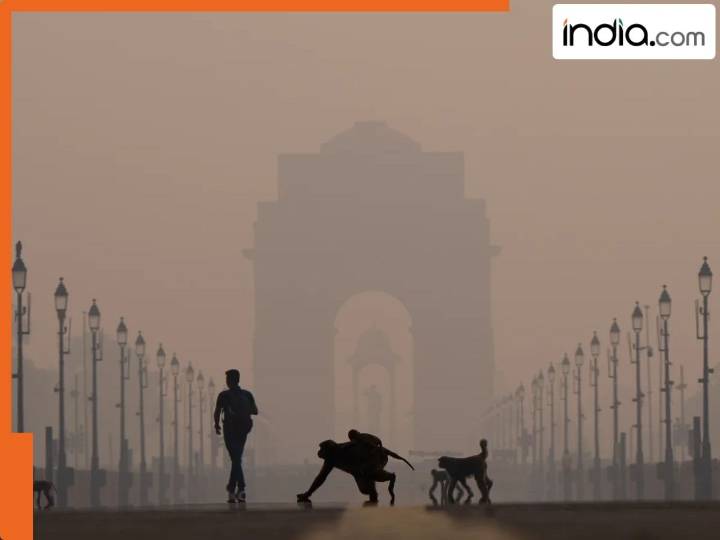Delhi Air Pollution Live Updates: National capital records 'severe' AQI at 16 locations, Noida, Ghaziabad, Gurugram air quality in…