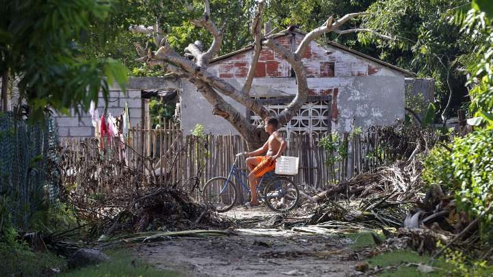 Cuba enfrenta "epidemia" de chikunguña, dengue y oropouche