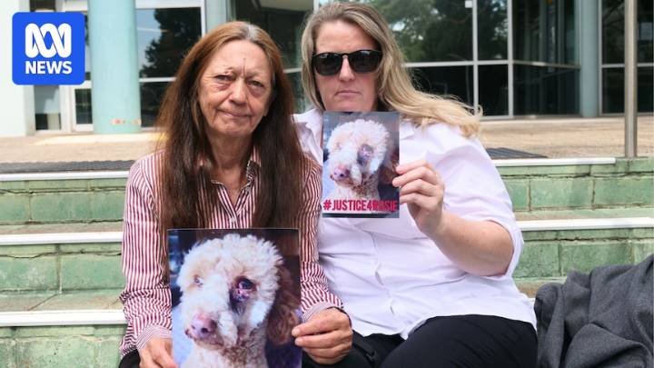 Man who shot poodle in Central Coast caravan park robbery sentenced to eight years in prison
