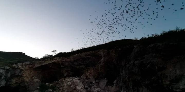 Van 3 cuerpos identificados de mina de Aquiles Serdán en Chihuahua: concluye búsqueda tras hallazgo de 10