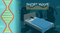 A sleep scientist on why we have nightmares  : Short Wave : NPR