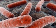La tuberculosis vuelve a preocupar en América: se registró un aumento de los casos