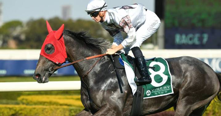 Kembla Grange trainer weighs options for The Gong