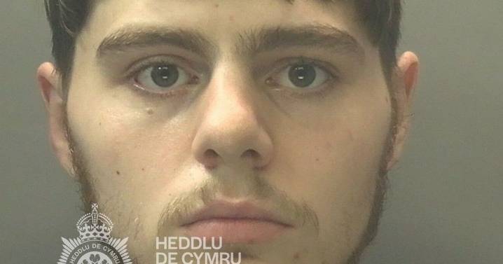 Drug-fuelled teen punched cat to death before sinking 8-inch blade into girlfriend in series of attacks