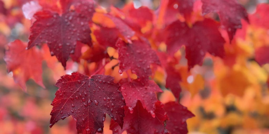 Multiple atmospheric river storms threaten Pacific Northwest, triggering flooding threat
