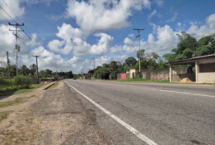 Chivo suelto casi provoca accidente en la carretera nacional