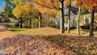 Are There Too Many Fallen Leaves In Your Yard? Here's An Easy Way To Tell