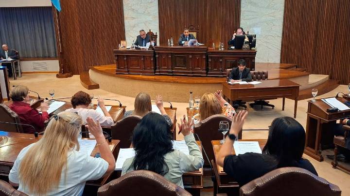 La Legislatura distinguió a médicos del Hospital Regional por un reconocimiento internacional en España