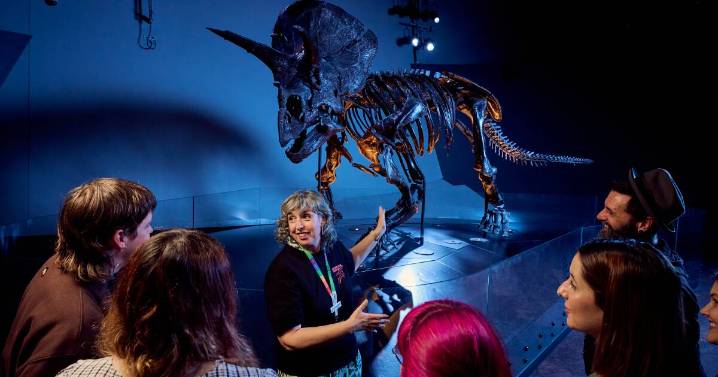 Experience Melbourne's epic all