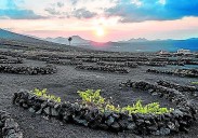 Nuevo paso para sacar el Plan Especial de La Geria