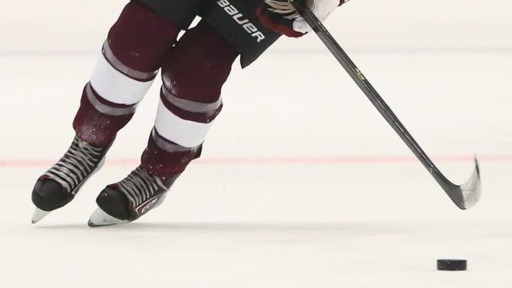 Jaxon Bucher, Cedar Crest hockey’s third-period eruption ices Central Dauphin