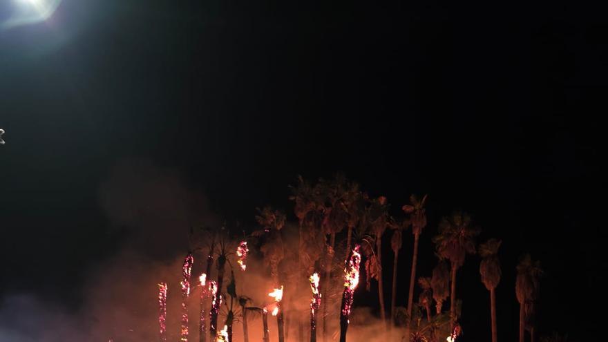 Incendio en un palmera de Mogán