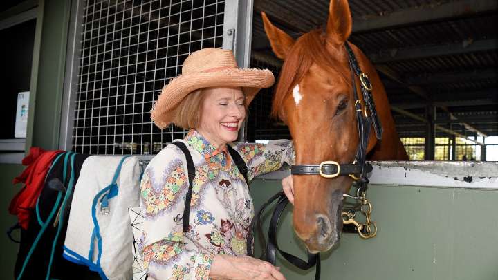 Gai Waterhouse prepares her 'very capable' horse Vauban as iconic Sydney horse trainer eyes second Melbourne Cup win