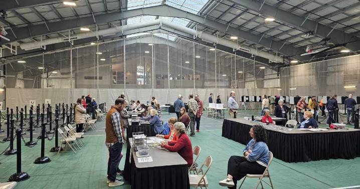 Voter ID, red flag referendums draw steady Maine voter turnout