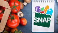 South Carolina: SNAP benefits resume Friday