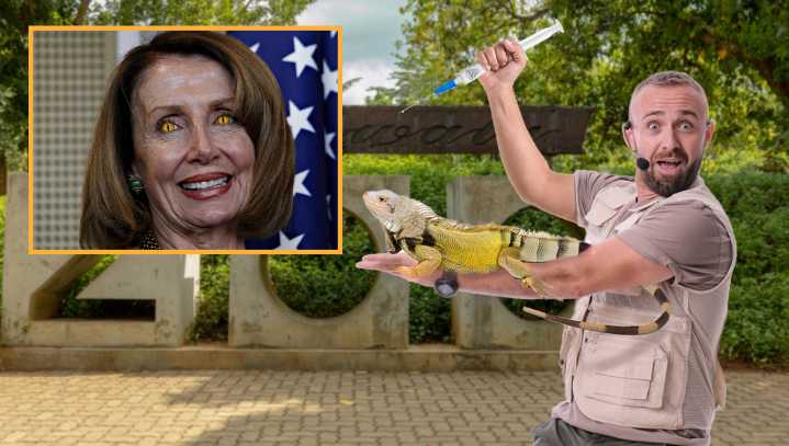 Zookeepers Scramble To Vaccinate All Lizards After Hearing Pelosi Got COVID