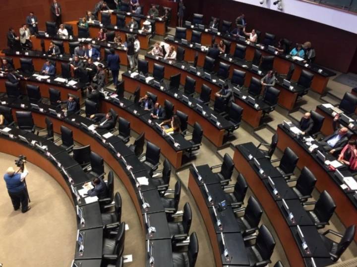 Senadores de la 4T rechazan "hechos de violencia" en marcha convocada por "sectores conservadores"