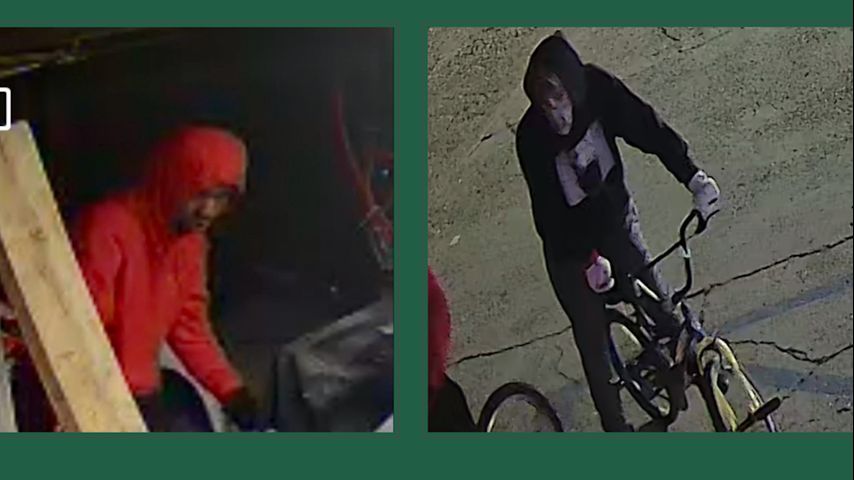 Tangipahoa deputies trying to identify suspects after vehicle burglaries, shots fired at vehicle