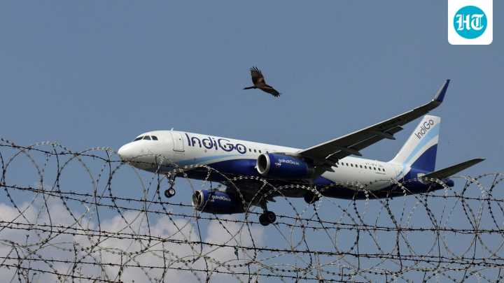 Indigo flight from Mumbai suffers bird hit in Rishikesh; aircraft damaged