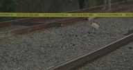 Man hit and killed by train in Oakland Park, deputies say