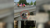 Texas Cyclists Stop For A Stranger On A Bridge And Discover A Terrified Dog Waiting For A Miracle