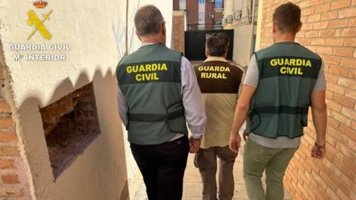 Detenido en Toledo el presunto autor de la muerte de un águila imperial ibérica