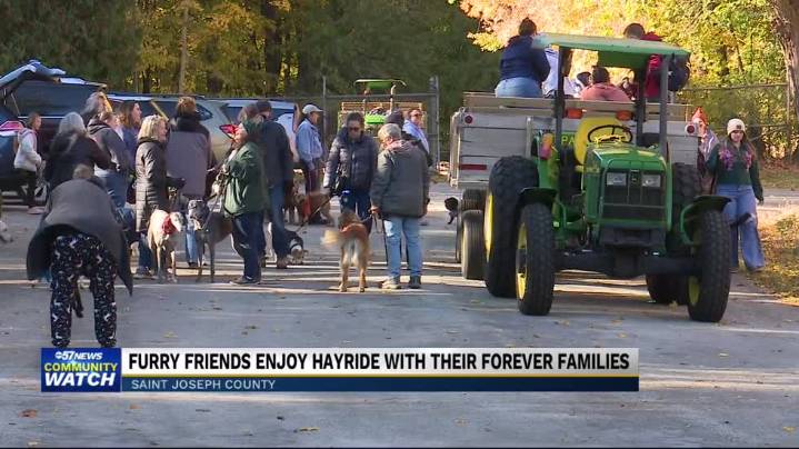 Tail waggin hayrides at Bendix Park