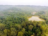 Post Cabinet approval to low-impact housing policy, foresters remind govt of eco