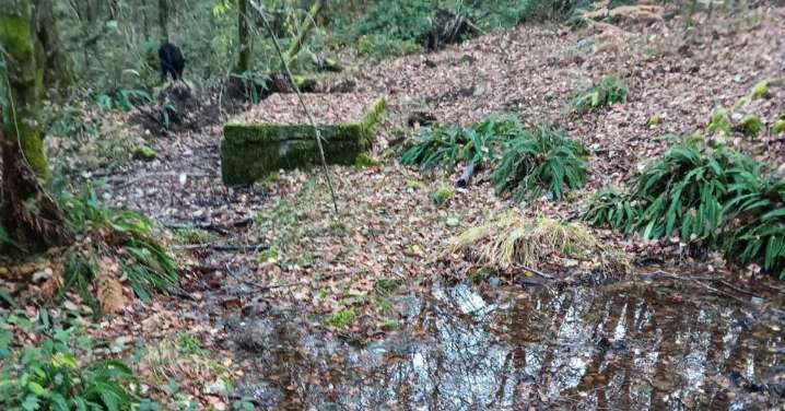 Vecinos de Irixo urgen proteger las captaciones tras los problemas con el suministro de agua