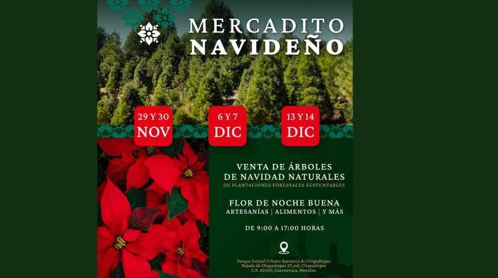 Invitan al mercadito navideño a realizarse en el Parque Barranca Chapultepec