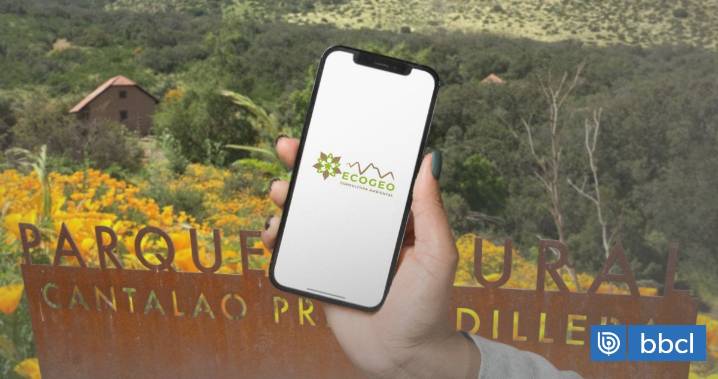 Hijo vivió gratis y ganó cuantiosos tratos: indagan a exjefa de parque por pérdidas de $2 mil millones