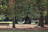 Los 133 bancos del Ferrera serán limpiados y pintados en los próximos días