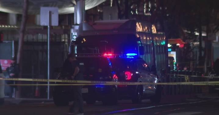 Dog, man shot by San Francisco police after unprovoked dog attack, officials say