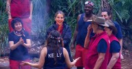 I'm A Celebrity fans start 'petition' as show move sparks same complaint