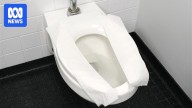 How dirty are public toilet seats?