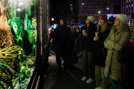 Elderly woman pickpocketed as she gazed at holiday windows outside Bergdorf Goodman