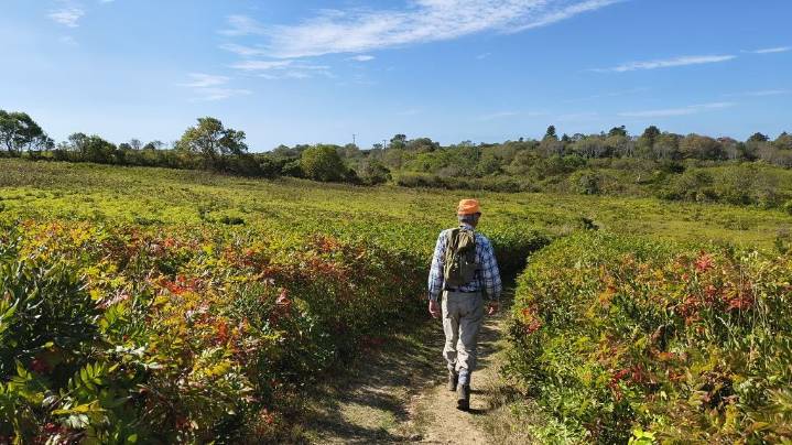 Hike at Rodman's Hollow, birthplace of conservation on Block Island