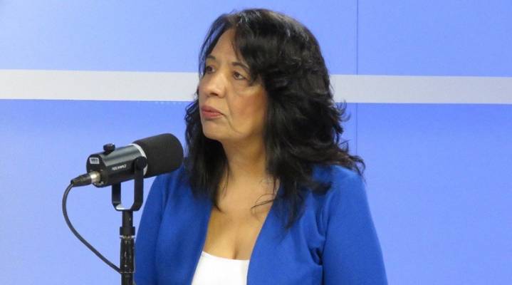 Diputada Ilenia Medina: "Venezuela está en paz y preparada para frenar cualquier ataque"